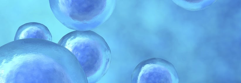 Current and Future Scale-Out Needs in Cell Therapy Manufacturing